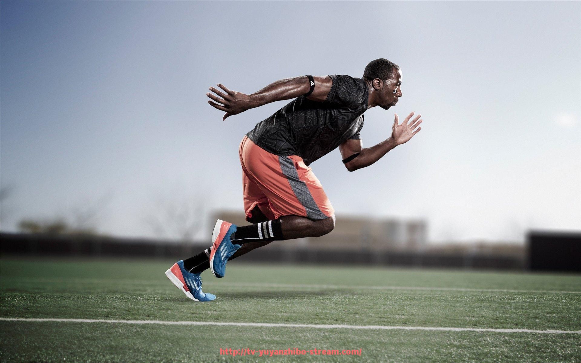 雨燕直播-世俱杯比赛规则细则全解:新增条款及争议焦点全面分析