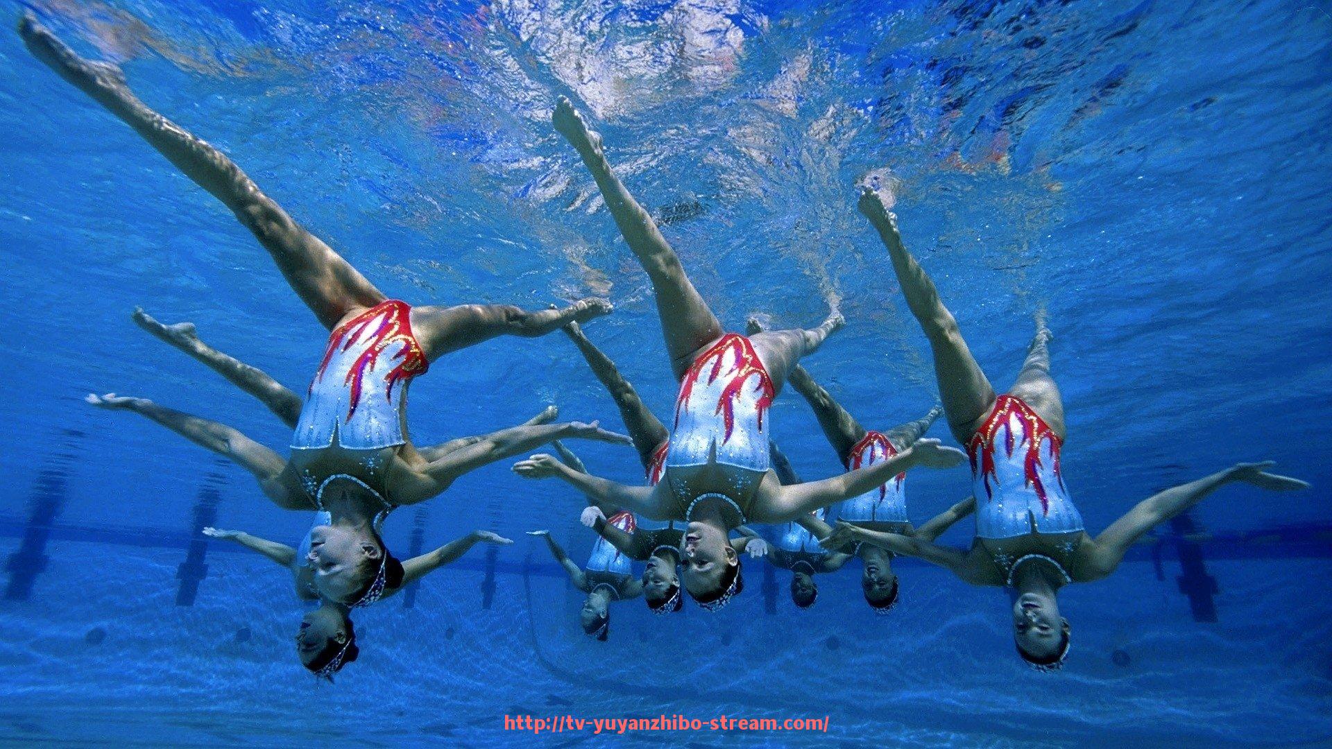 雨燕直播-世俱杯赛事多语种信息同步平台建设与管理规范