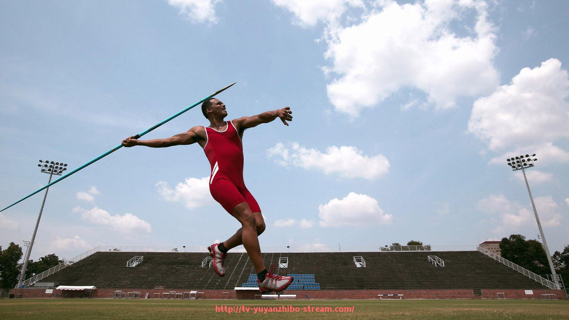 雨燕直播-灵活调整机制下的世俱杯赞助资金预算管理与执行分析