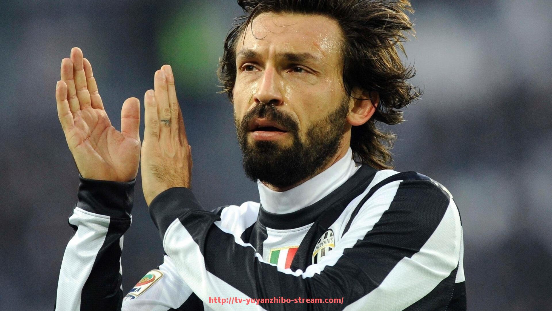 雨燕直播-法甲外援战术适应情况的研究及其对比赛表现的影响