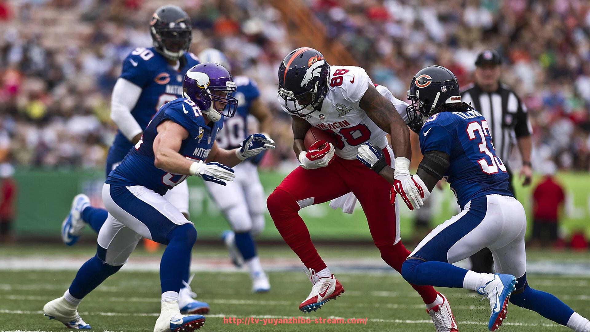 雨燕直播-户外健身器材项目介绍及使用效果评价